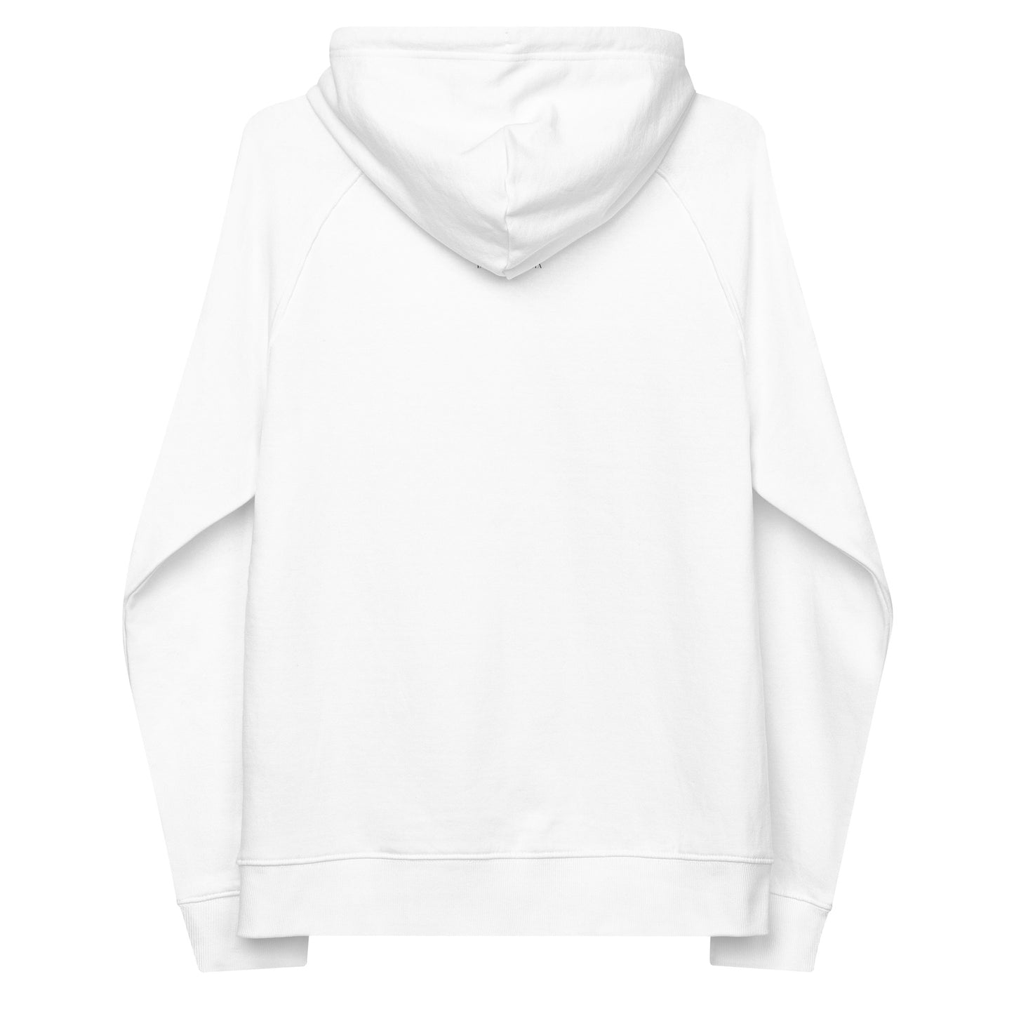 Humboldt No. 1  Hummingbird Eco Raglan Hoodie (unisex | print)